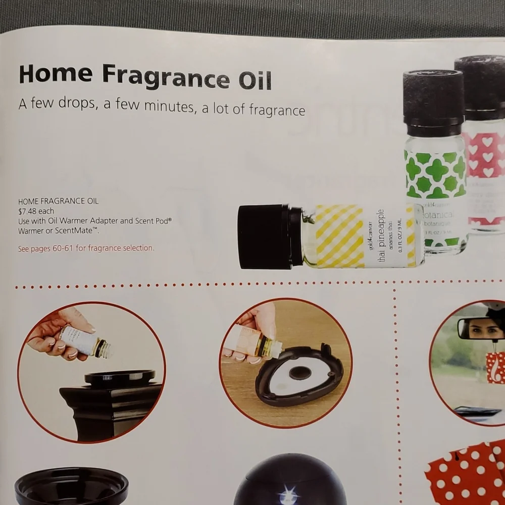BROWN SUGAR COOKIE‎ Home Fragrance Oil from Gold Canyon 0.3 FL Oz